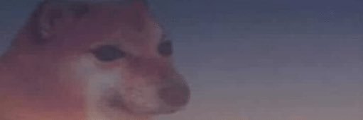 Zergiok_'s profile banner image