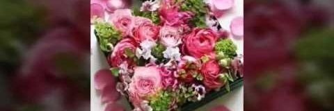 Mhasba_N's profile banner image
