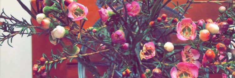_FjR95's profile banner image