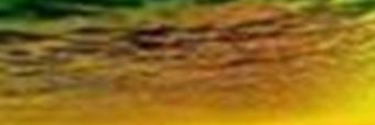 RasDarge's profile banner image