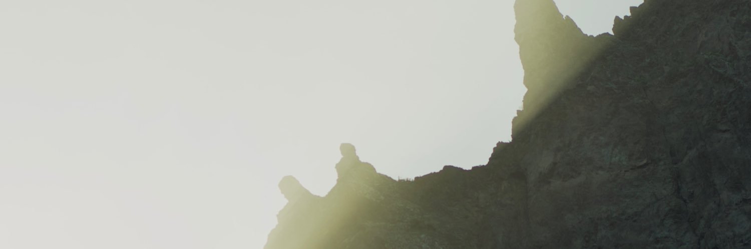 lexiflexi_'s profile banner image