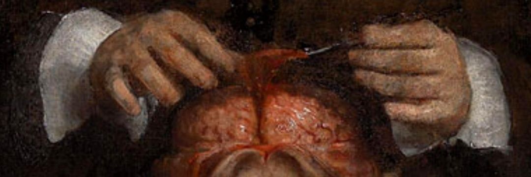 achonomejodas's profile banner image