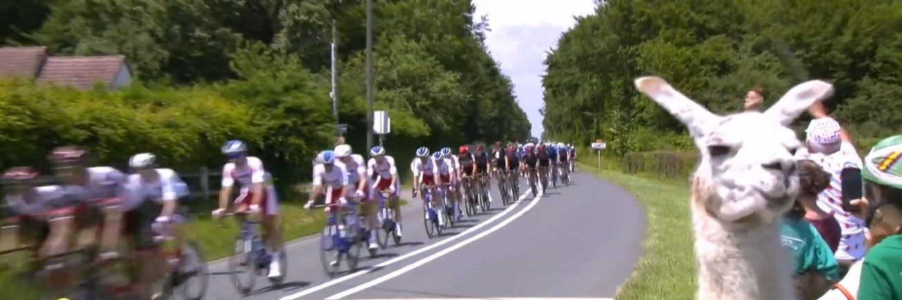 Sebastiaan Mulder banner