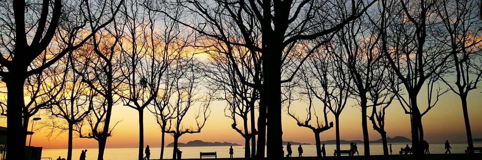 IriaGolmar's profile banner image
