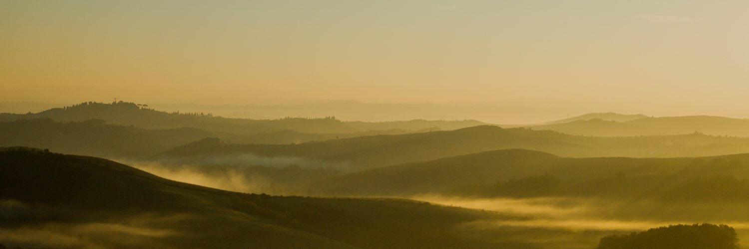 pedaroco's profile banner image