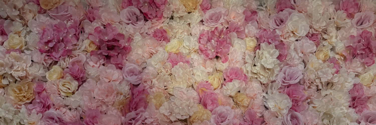 mariss_sully's profile banner image