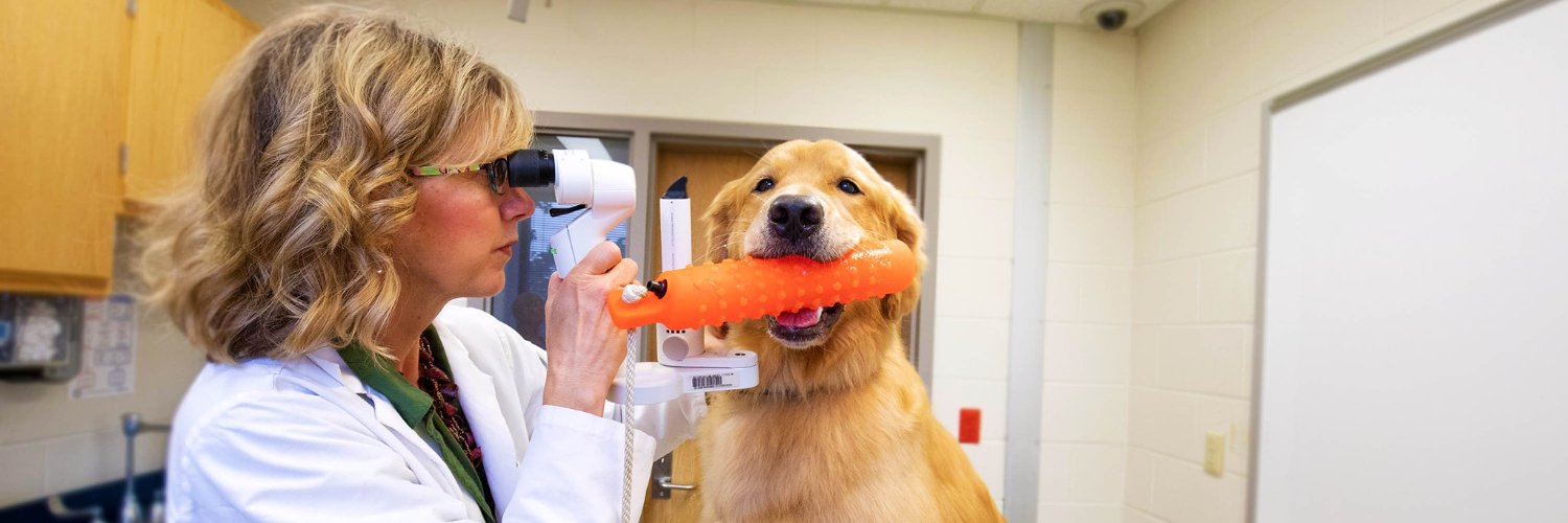 Purdue Veterinary Medicine banner