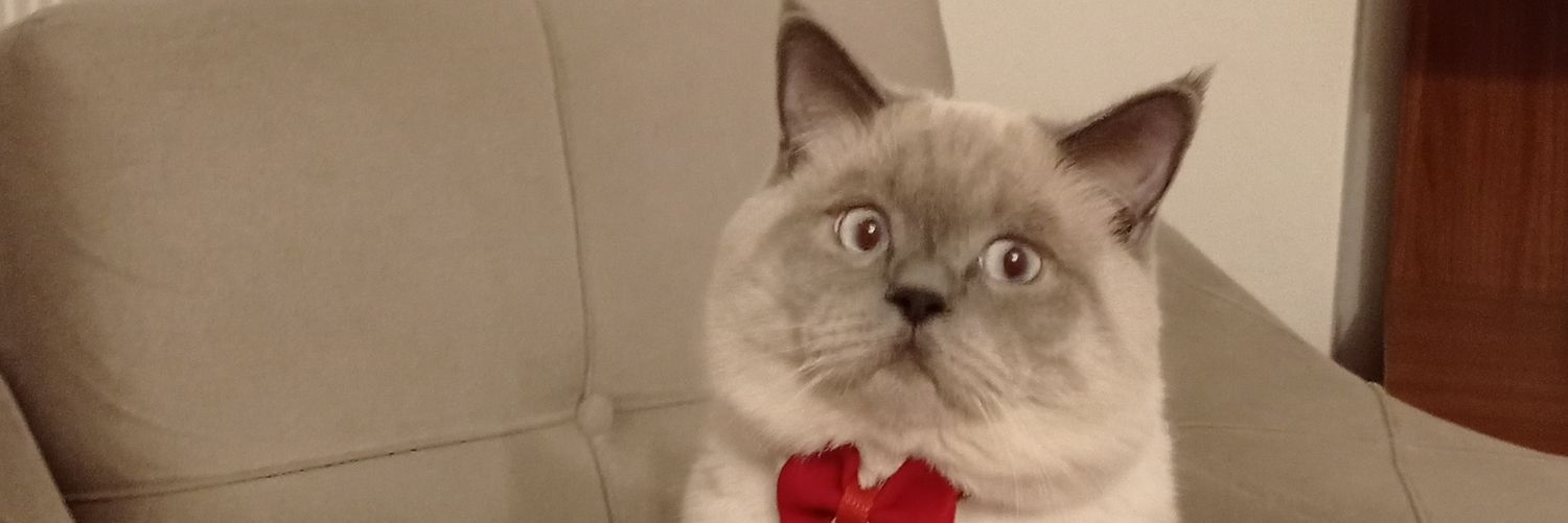 serkanakin_'s profile banner image