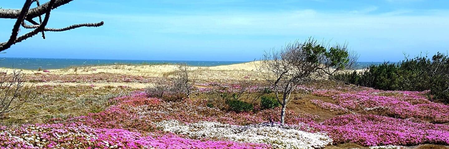 taractan5212's profile banner image