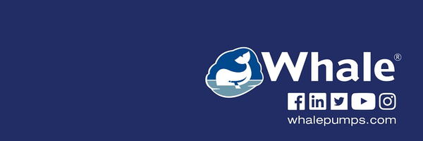 Whale_Pumps Profile Banner