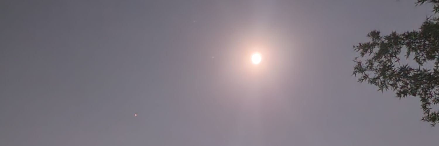 virginia_prim's profile banner image