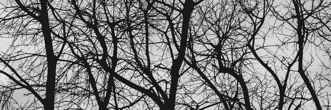Srta_Siles's profile banner image