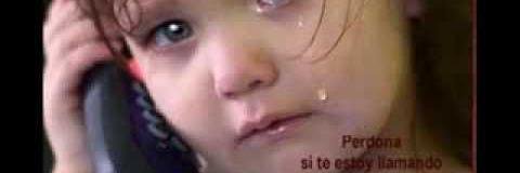 edithchamorro71's profile banner image