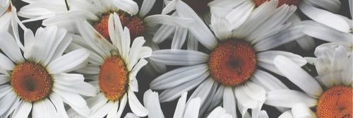 ljweaver_'s profile banner image