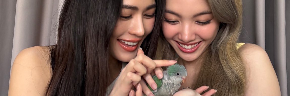 G 💜 LingOrm banner