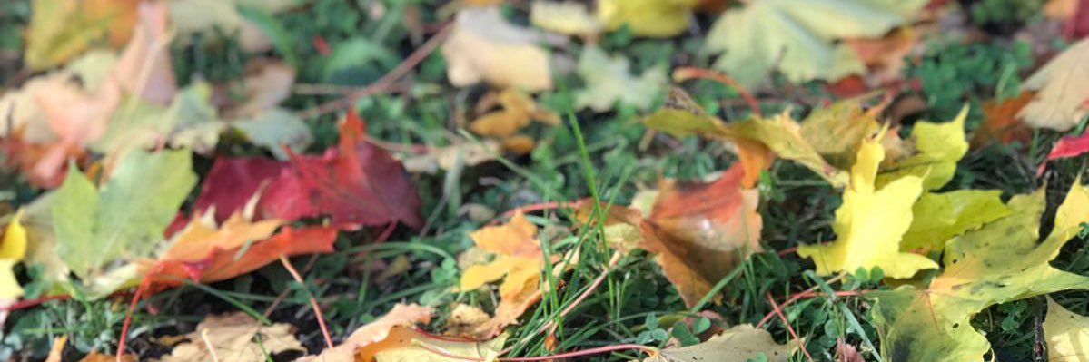 MinnaNor's profile banner image