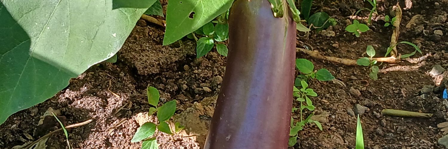 osmanfil45's profile banner image