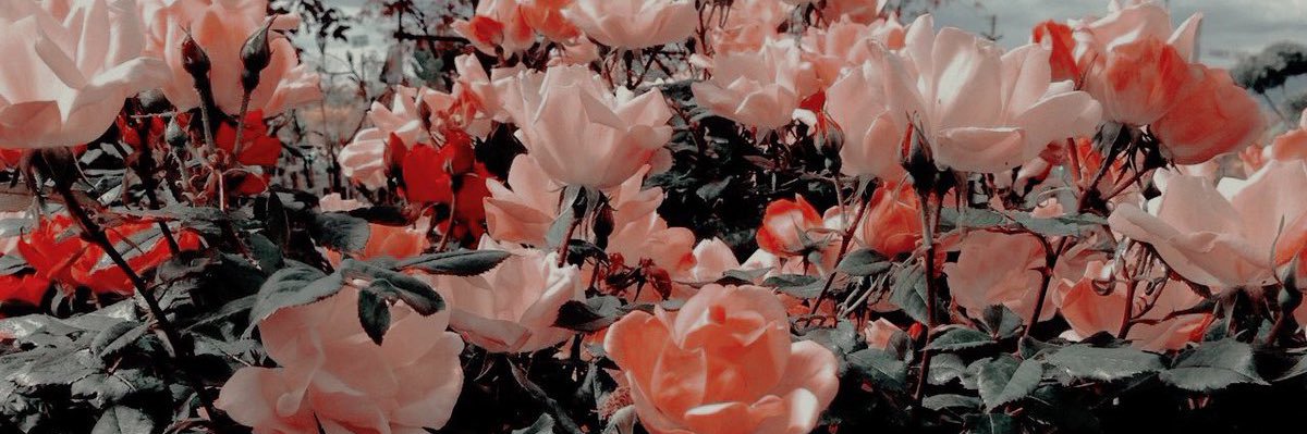 ☄️ banner