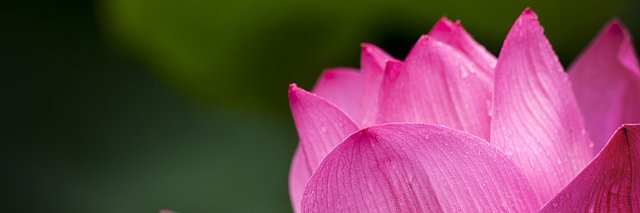 bakercam1's profile banner image