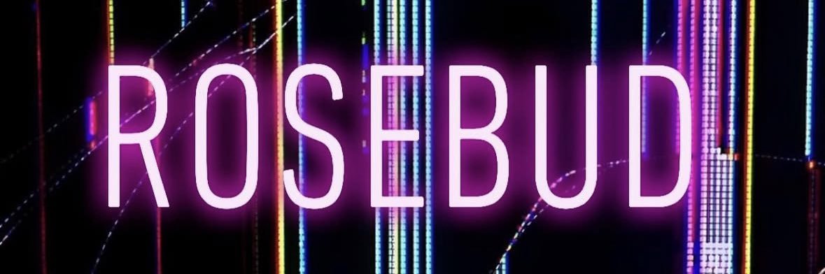 thequeenrosebud's profile banner image
