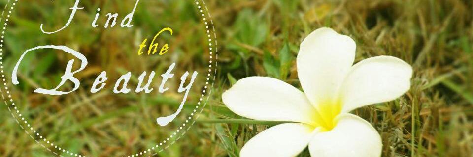 quishpe_armando's profile banner image