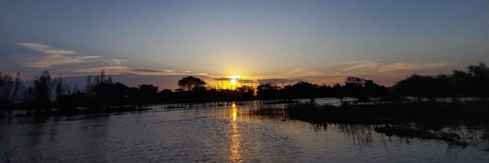 SperanzaSelene's profile banner image