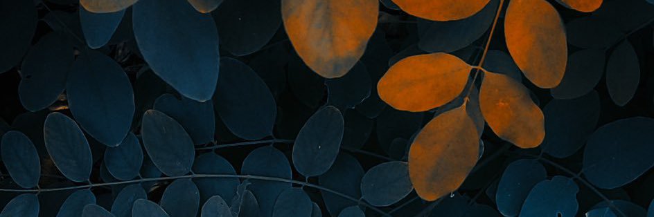 lolyyy54's profile banner image