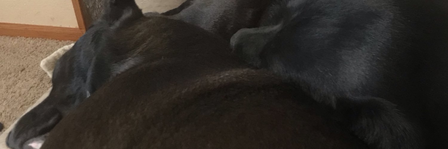 Dylan Brunshidle banner