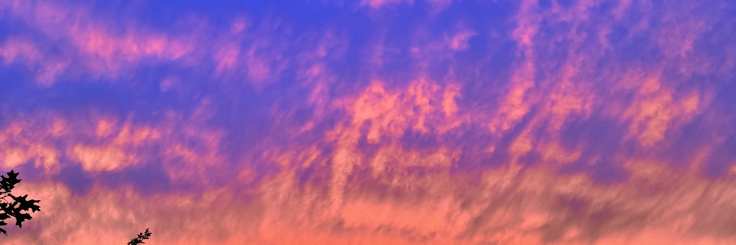 _leehhzz's profile banner image