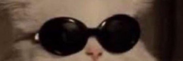 SweatyKodi Profile Banner