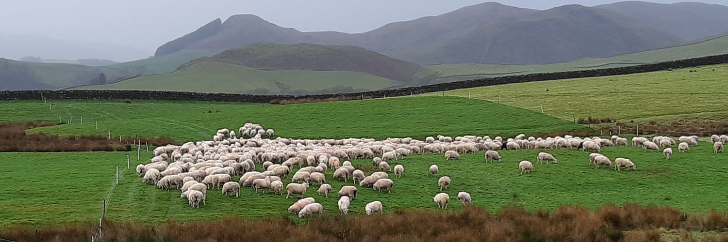 Andrew Marchant banner
