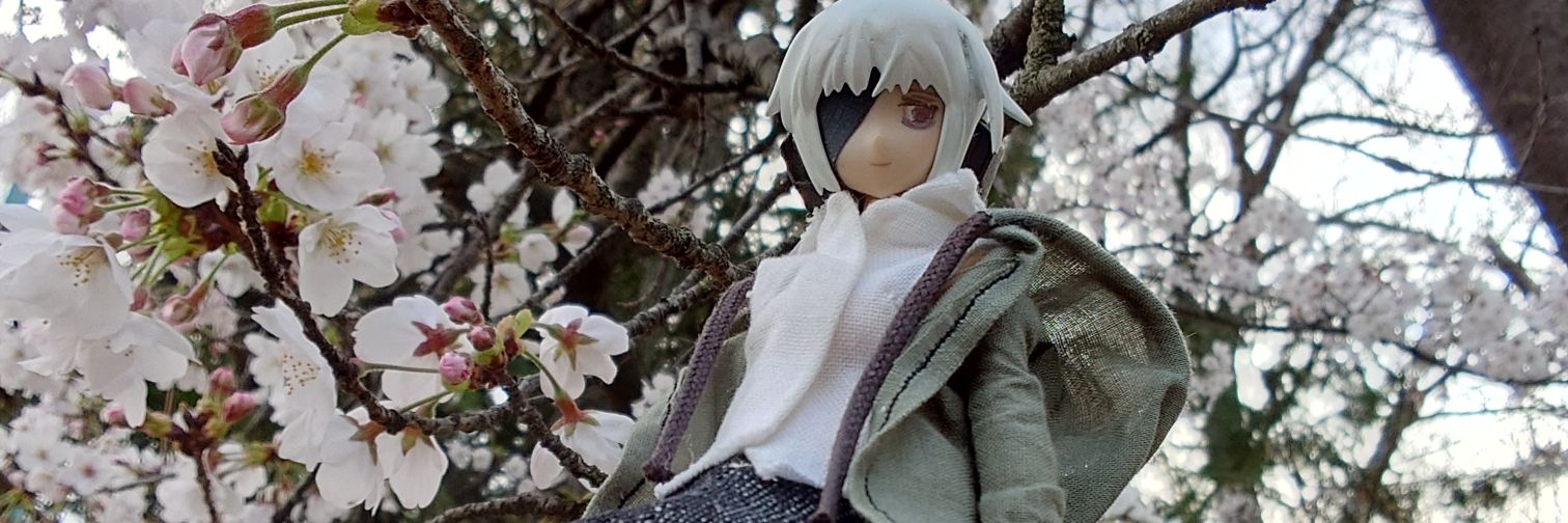 mar_tsuntsun's profile banner image