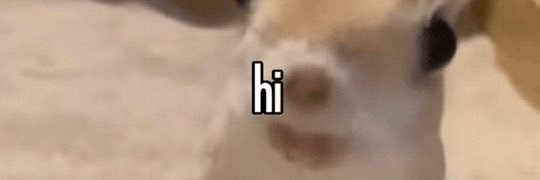 SquishyMaster01's profile banner image
