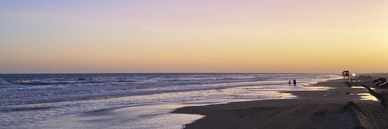 domingues004's profile banner image