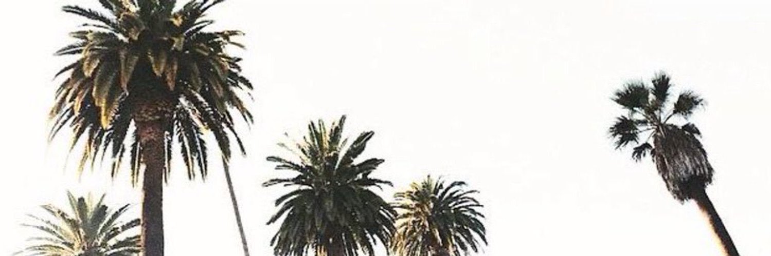 _SamarAlotaibi_'s profile banner image