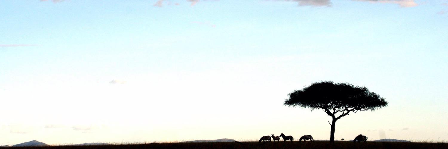 SH_TCSC's profile banner image
