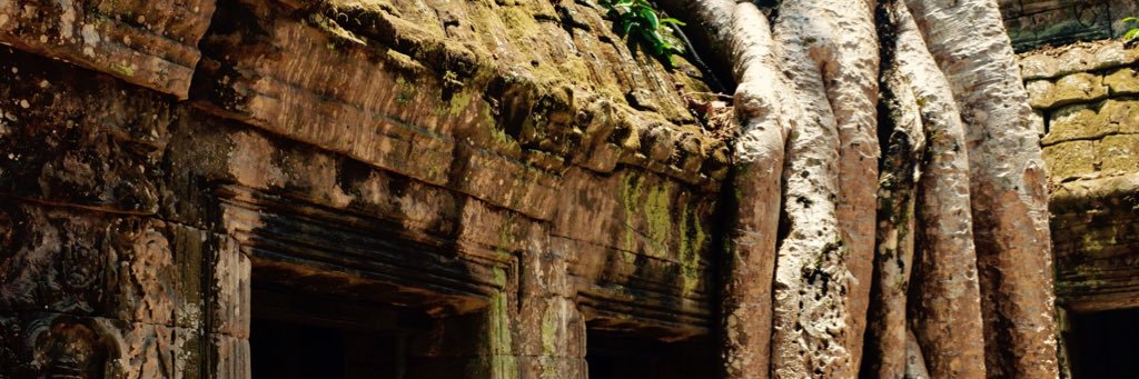 Francis Bilodeau banner