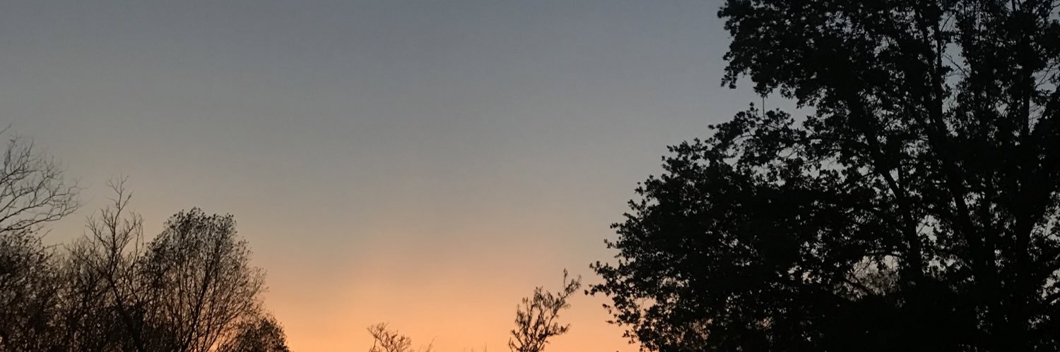 vale_garzaf's profile banner image
