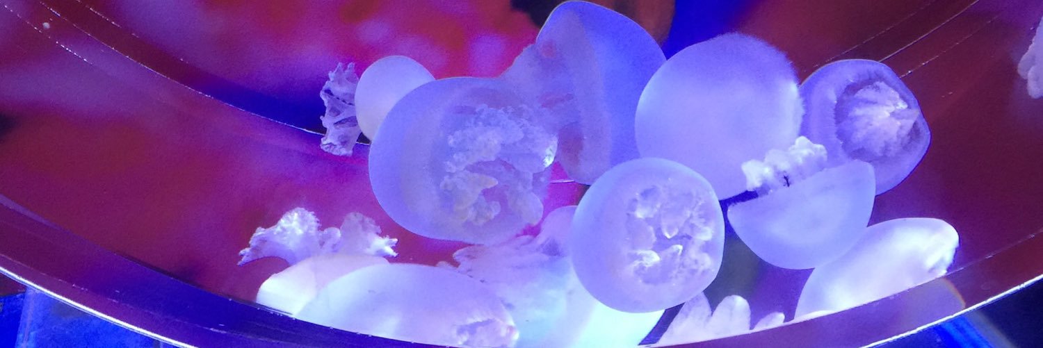 ヒューク@ミルティくださいbot banner