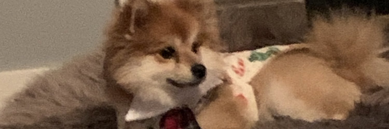 Hedyeh_N's profile banner image