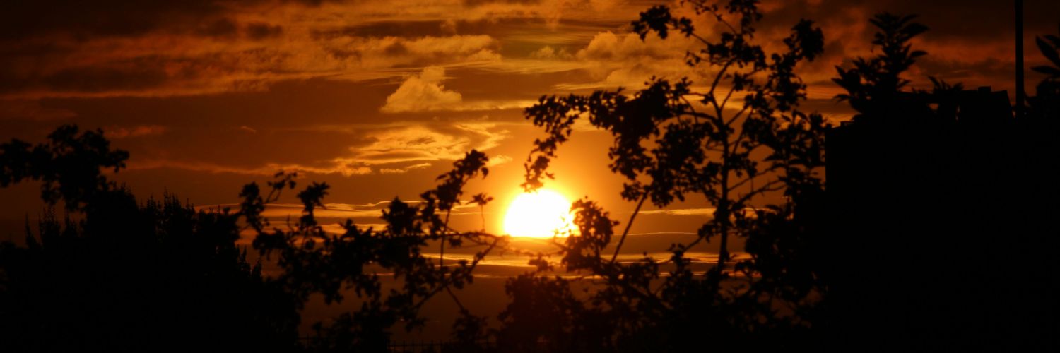 squareishpeg's profile banner image
