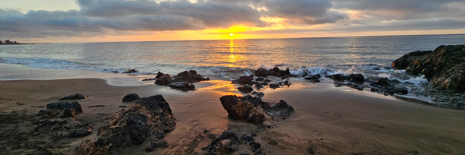 Lesley Wellard McM banner