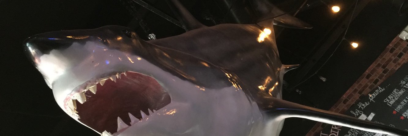 IsaacGChildres1's profile banner image