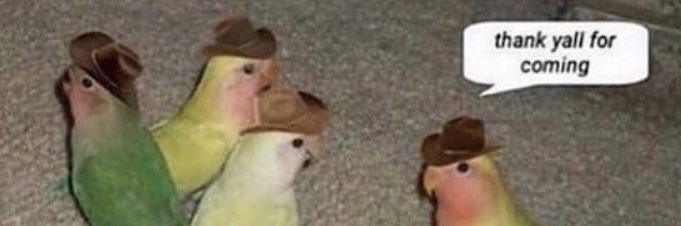 Occoboi's profile banner image