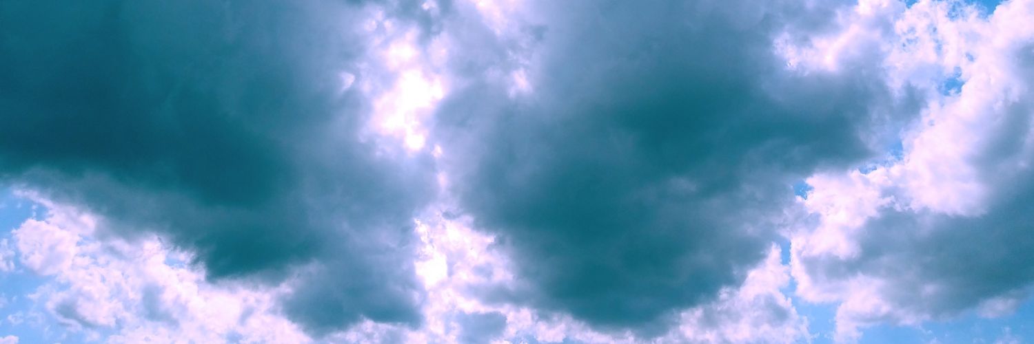 TheRealFBsurvivor banner