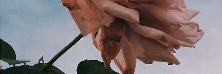 avanthay_'s profile banner image