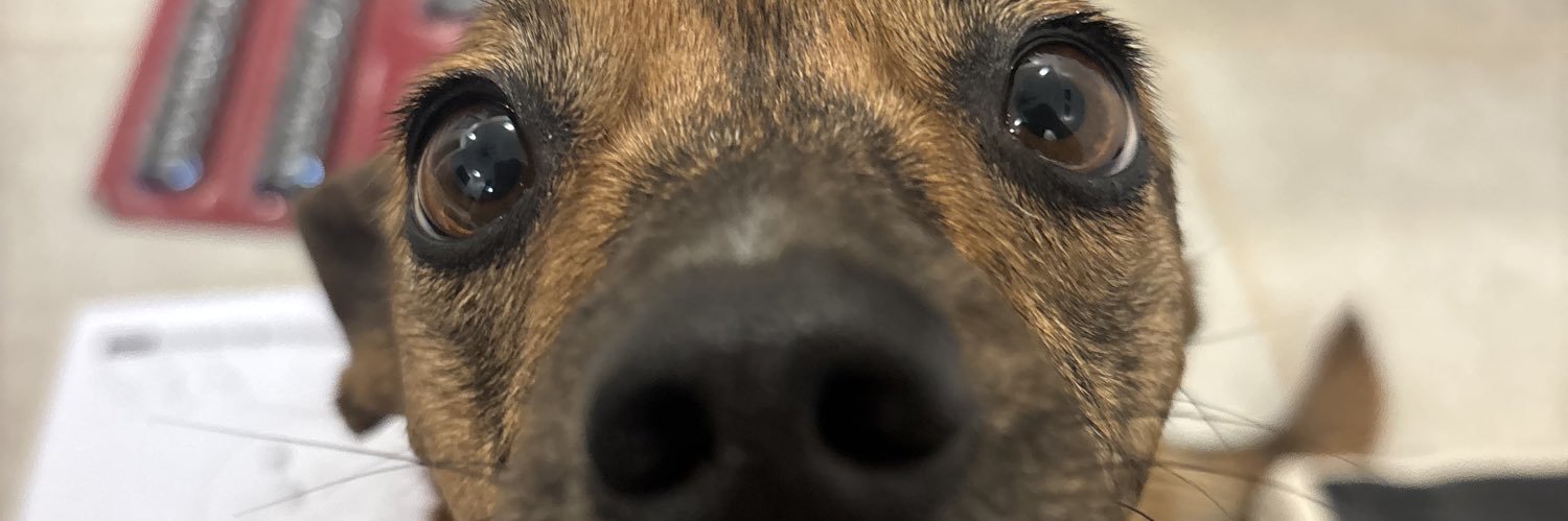 CrisDaBritish's profile banner image