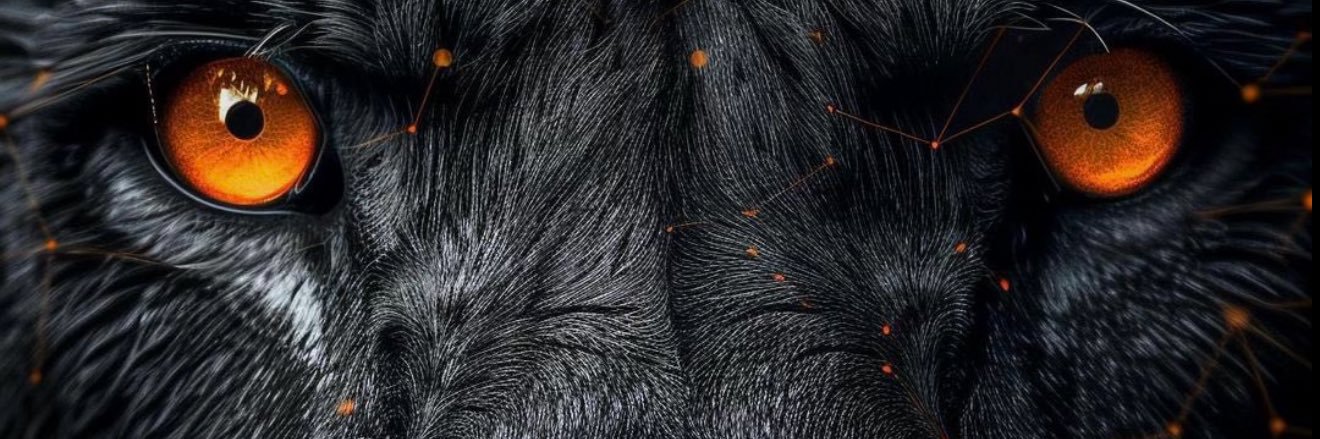 FIGUEIREDO banner