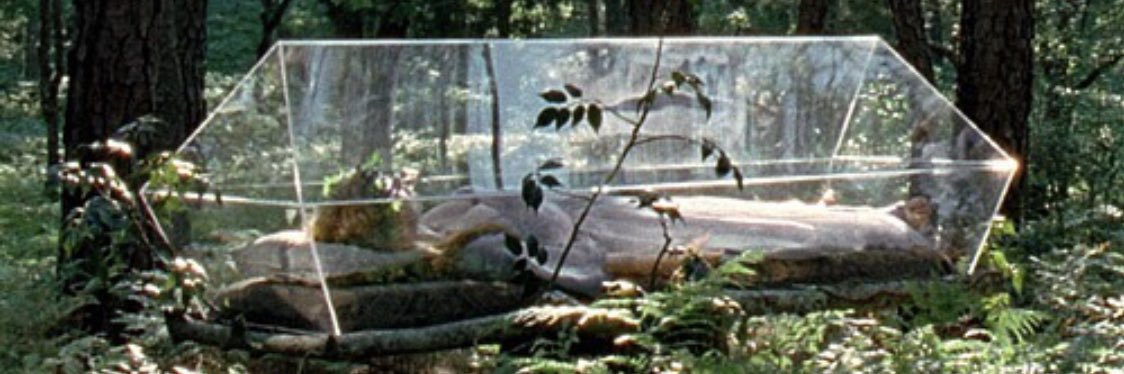 gardenvisuals's profile banner image