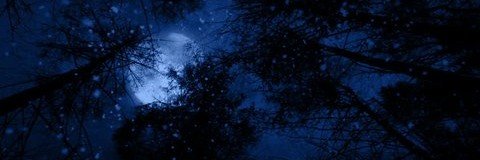 GRADUMASCENDIT's profile banner image
